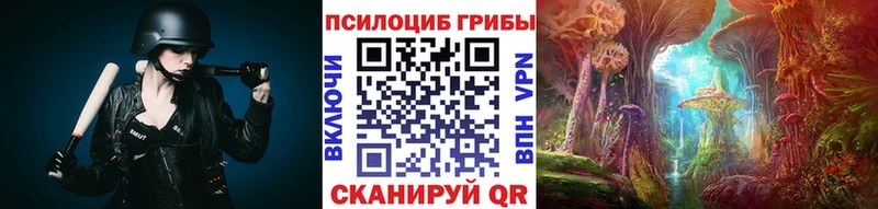 Псилоцибиновые грибы GOLDEN TEACHER Горнозаводск